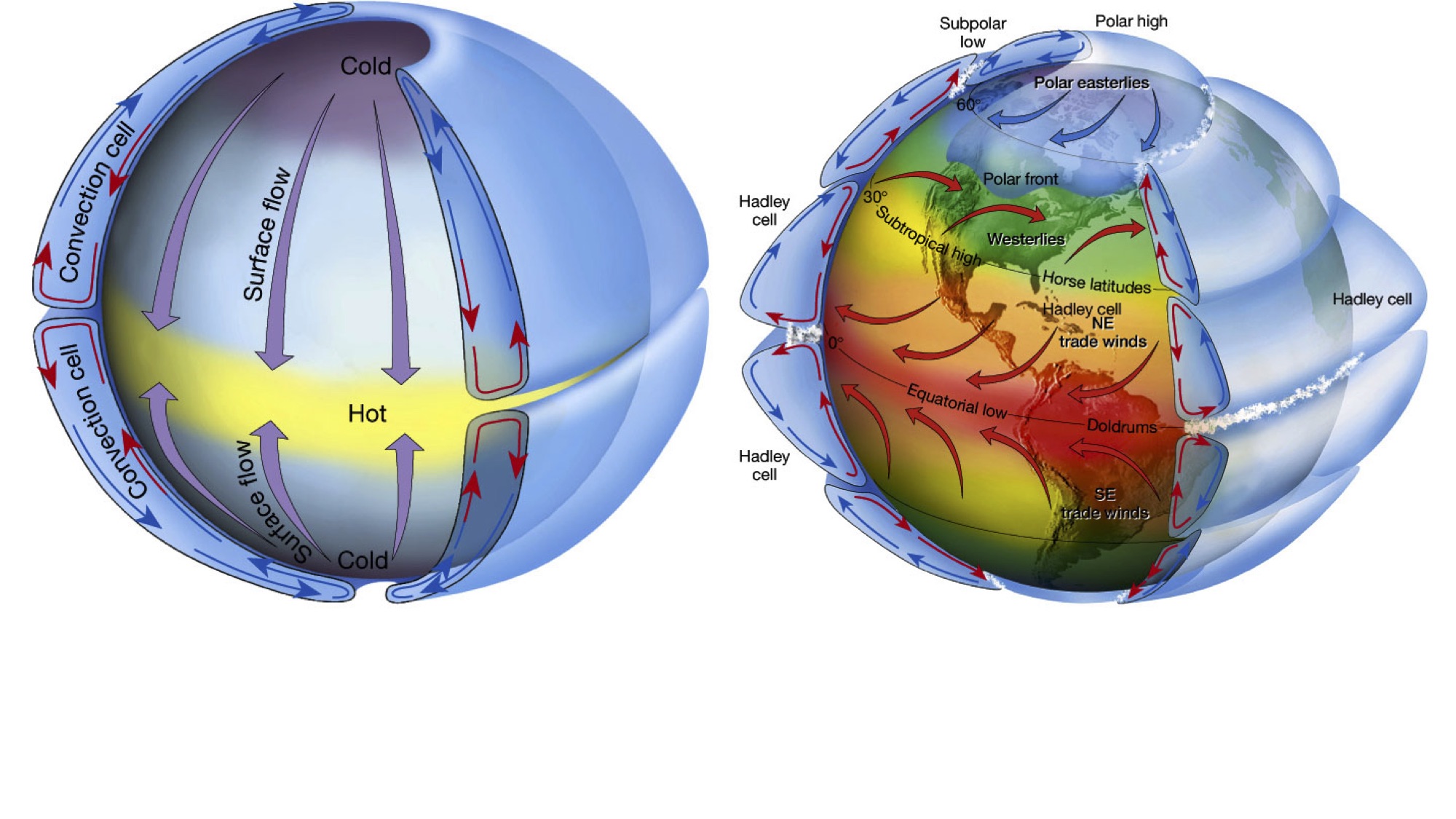 Subtropical and polar jet