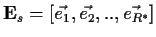 ${\bf E}_s = \left[ \vec{e_1}, \vec{e_2}, .. , \vec{e_{R^*}} \right]$